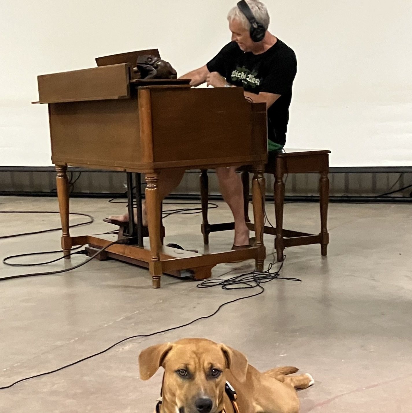 Rob plays organ while Crosby listens attentively