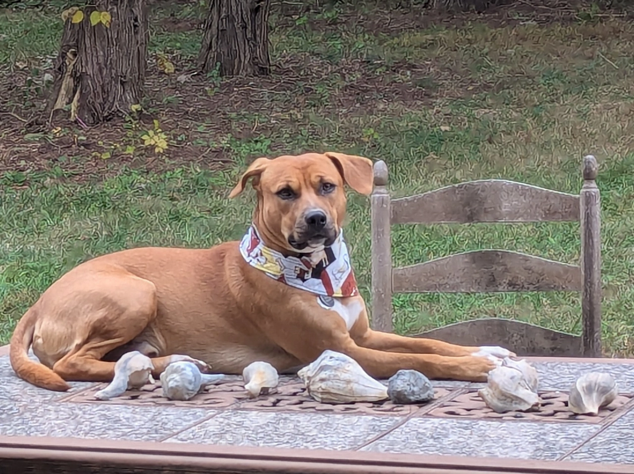 Crosby loves the outdoors as much as he loves the studio!